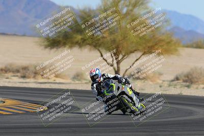 media/Feb-04-2023-SoCal Trackdays (Sat) [[8a776bf2c3]]/Turn 4 (Tree of Life 2pm)/